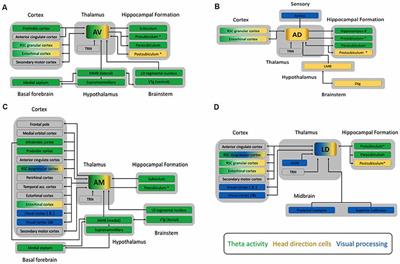 Considering the Evidence for Anterior and Laterodorsal Thalamic Nuclei as Higher Order Relays to Cortex